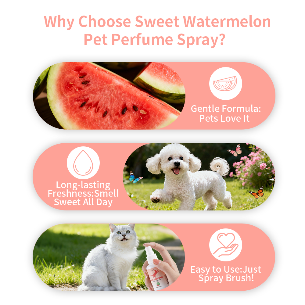 Watermelon Scent Pet Perfume C - Home Fragrance Aesop avis et prix