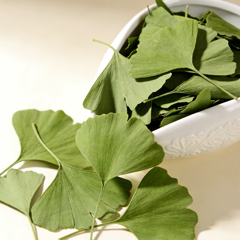 Quality Ginkgo Biloba Dried Le - Quality Home Fragrance avis et prix