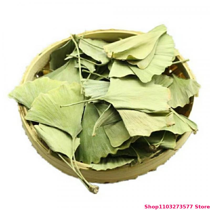 Quality Ginkgo Biloba Dried Le - Quality Home Fragrance avis et prix