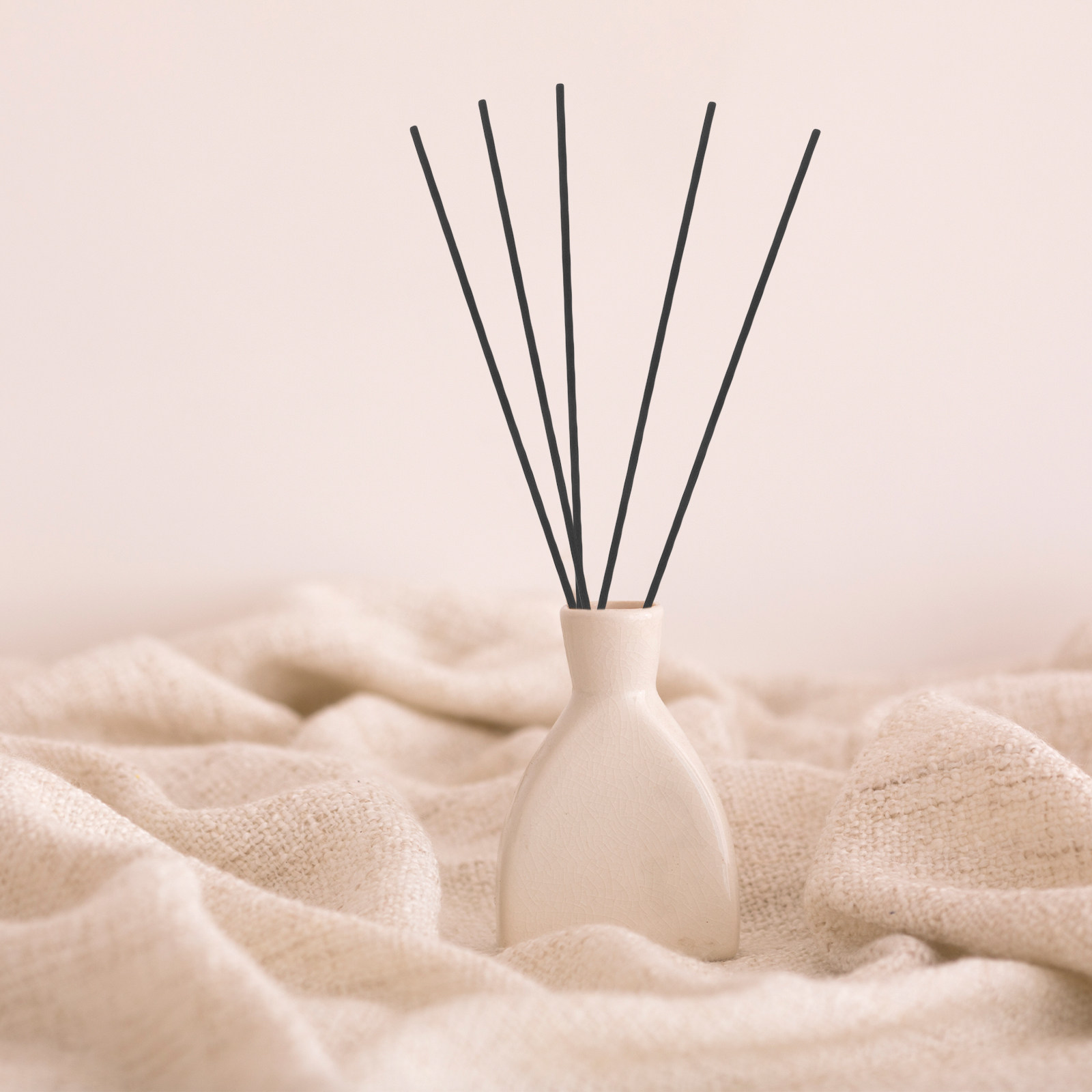100Pcs Black Fiber Reed Diffus - Home Fragrance Diffuser Sticks avis et prix