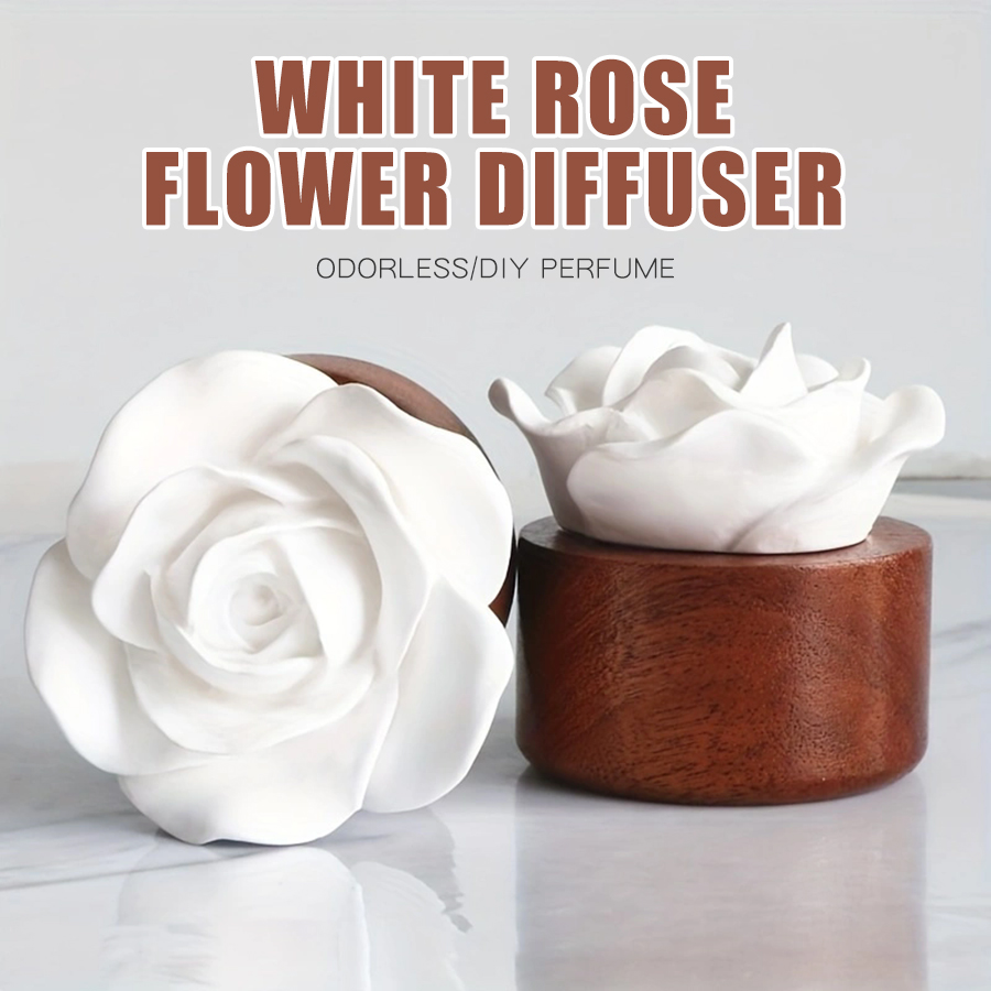 Odorless DIY perfume stone flo - Home Fragrance Aesop avis et prix
