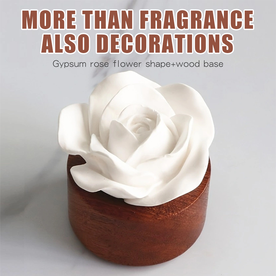 Odorless DIY perfume stone flo - Home Fragrance Aesop avis et prix