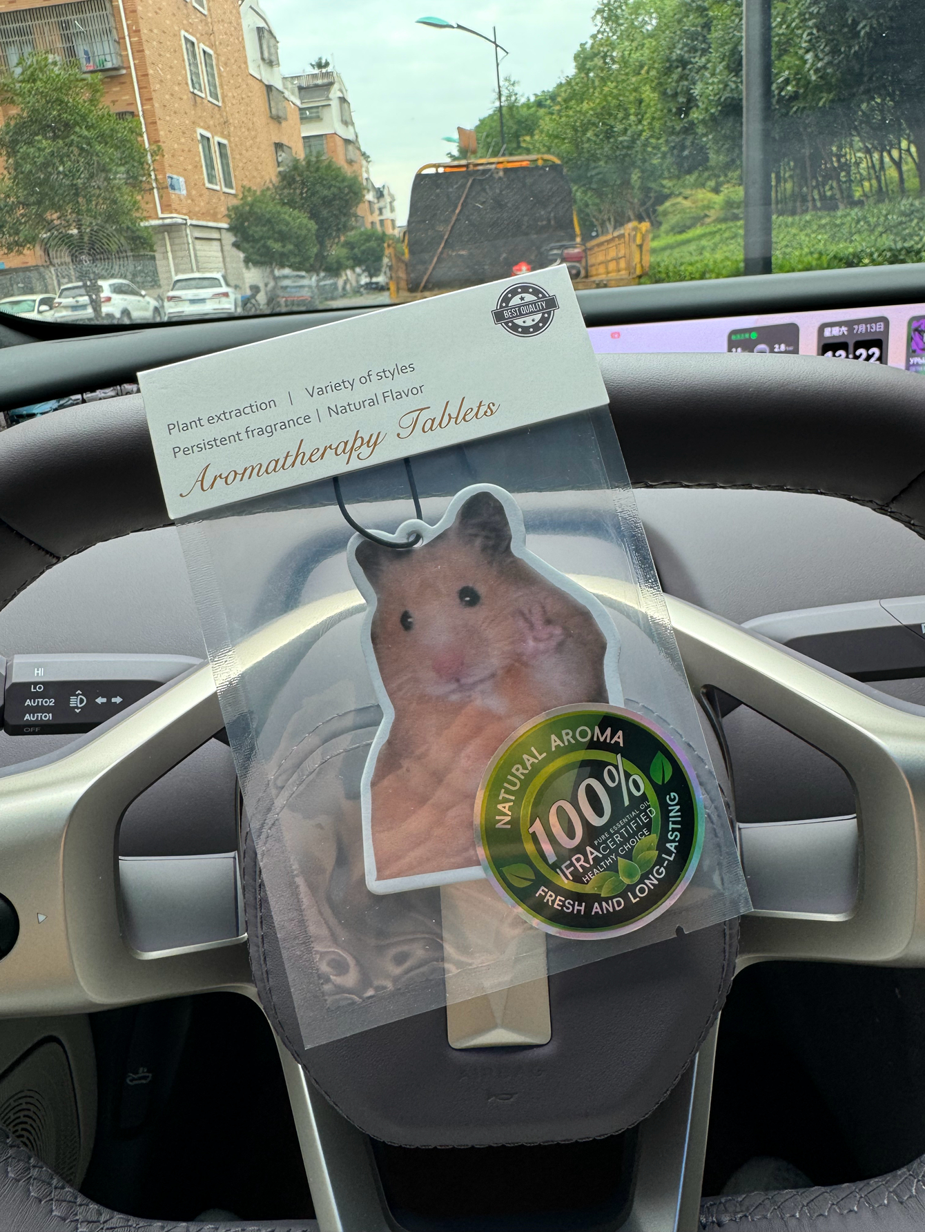 Magnet Hamster Meme Magnet Ham - Home Fragrance Janzen avis et prix
